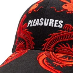 Pleasures X PLAYBOY TAILS 6 PANEL HAT -ADIDAS Store PleasuresXPLAYBOYTAILS6PANELHATBLACKOSP22PB047 BLACK 4