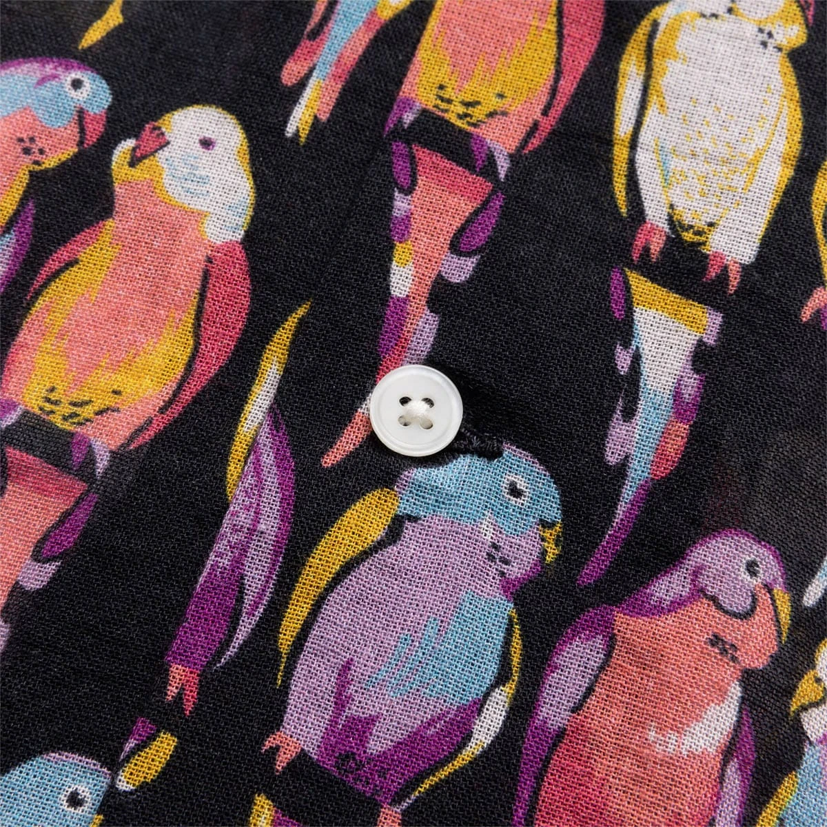 PARAKEET S/S SHIRT 5 PARAKEET S/S SHIRT - Image 5