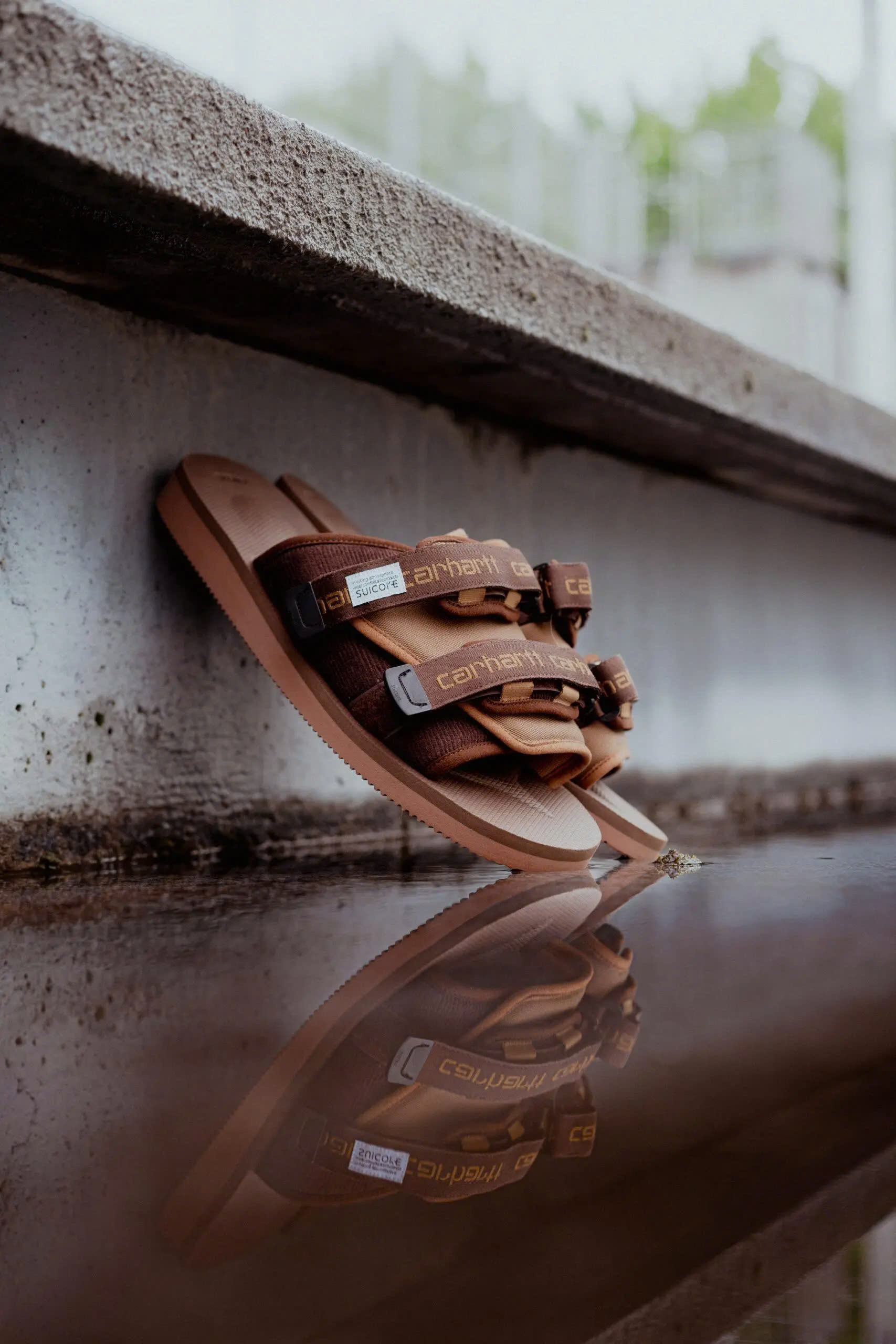 ADIDAS Store 23 ADIDAS Store -ADIDAS Store z6402545215720 5773f9ea6a559a32841c0abdd92310fc